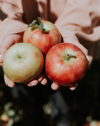 Five Things To Do in Minnesota This Fall