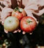 Five Things To Do in Minnesota This Fall