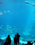 7 Ways to Get a Dose of Art and History from the Comfort of Your Couch