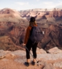 5 National Parks to Explore Virtually Before Summer’s End