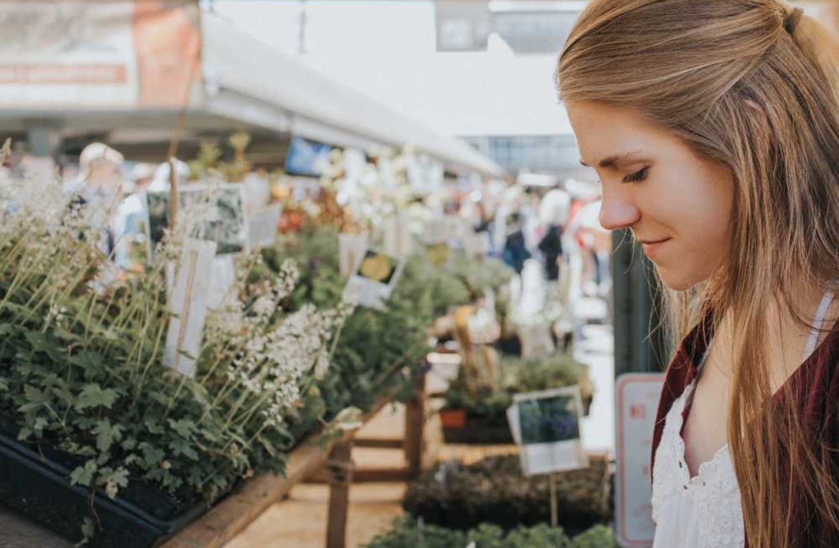 How to Grow an Indoor Garden and What to Expect