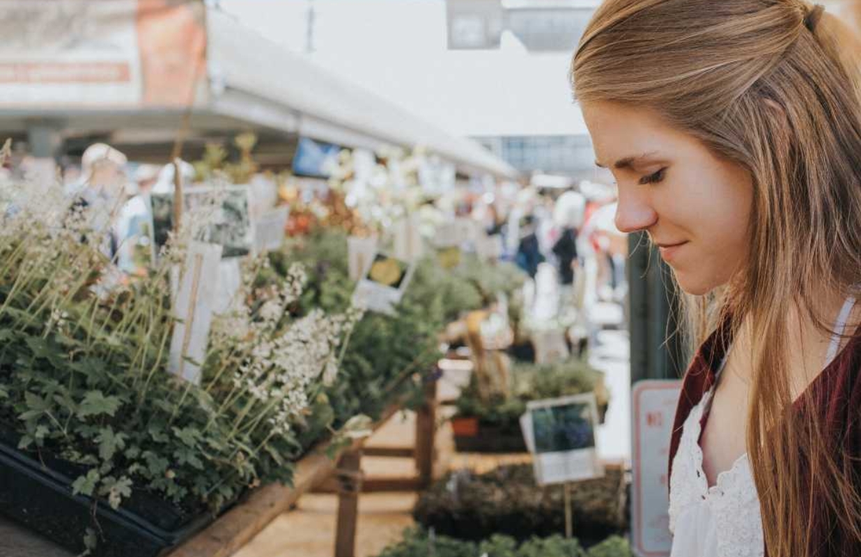 How to Grow an Indoor Garden and What to Expect