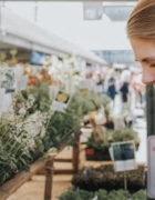 The Do’s and Don’ts of Celebrity Diets