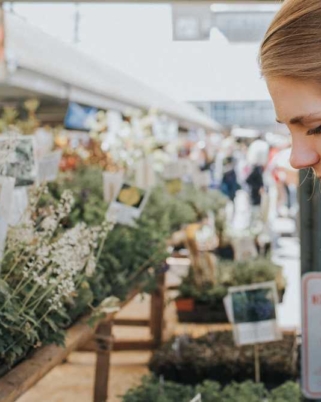 How to Grow an Indoor Garden and What to Expect