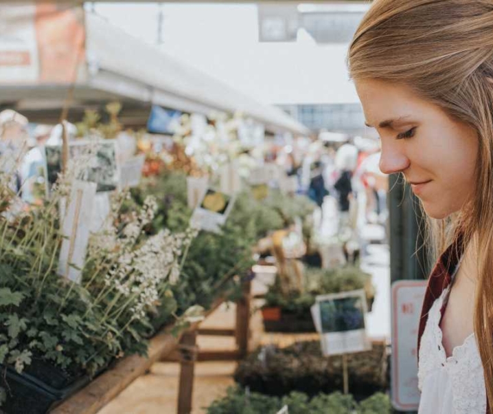 How to Grow an Indoor Garden and What to Expect