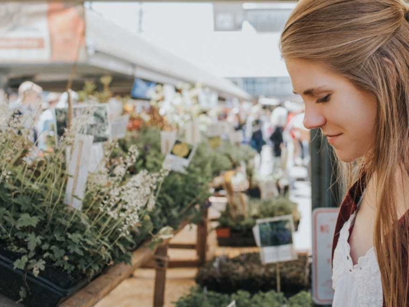 How to Grow an Indoor Garden and What to Expect
