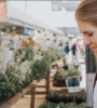 How to Grow an Indoor Garden and What to Expect