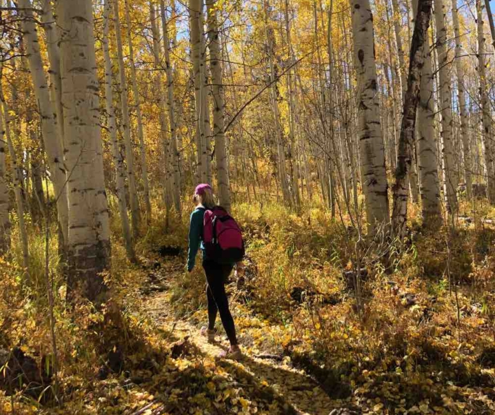 5 Minnesota Trails to Hike This Fall