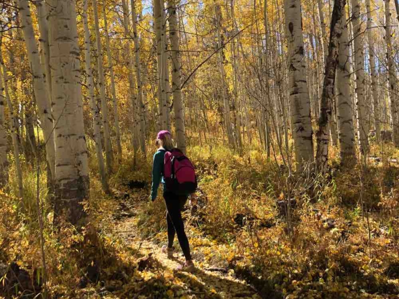 5 Minnesota Trails to Hike This Fall