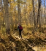 5 Minnesota Trails to Hike This Fall