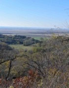 Make Your Vote Count!