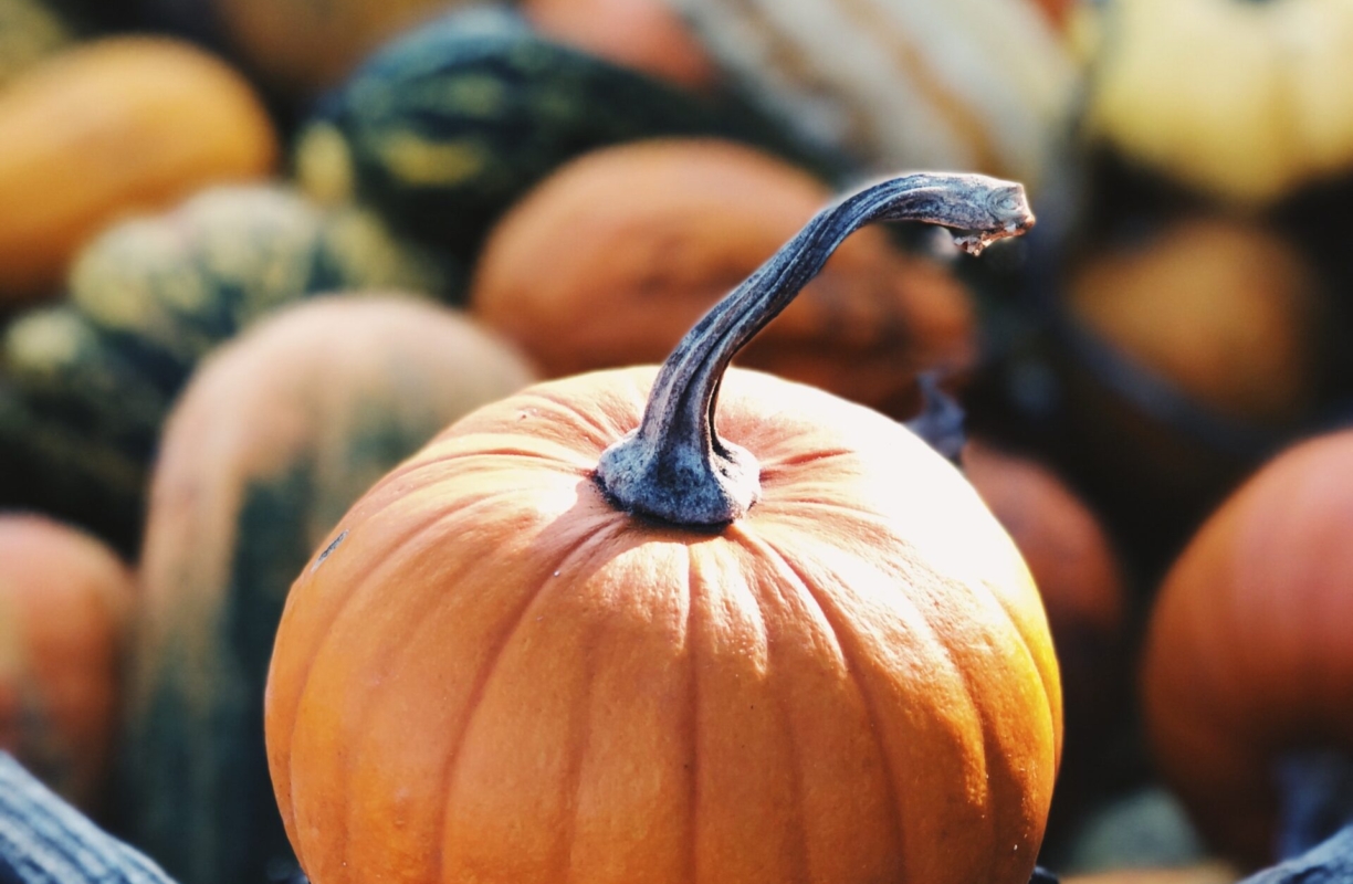 Beyond Pumpkin Spice