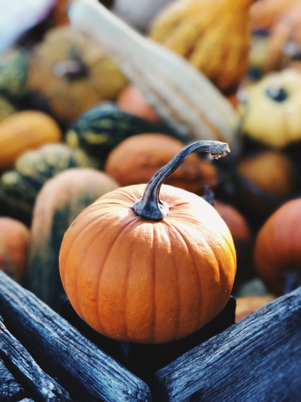 Beyond Pumpkin Spice