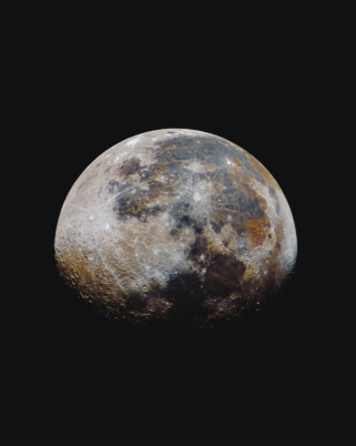 The Top 7 Ways to Be More Sustainable at Home