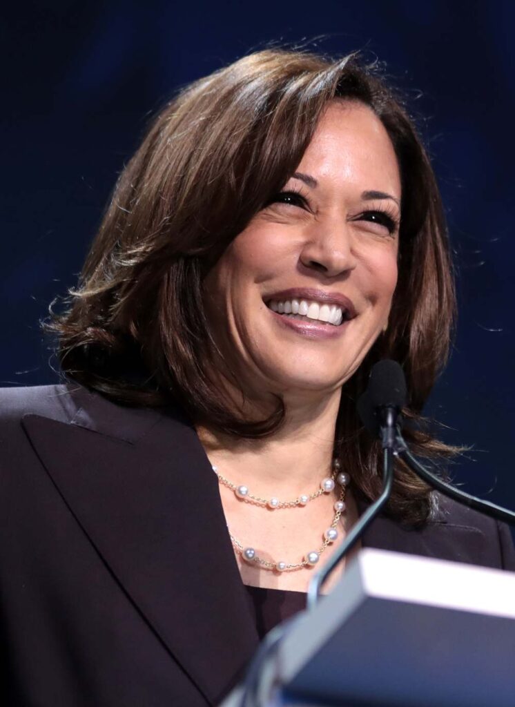 Kamala Harris’ Vice Presidency Is Vital To The Female-Led Racial ...