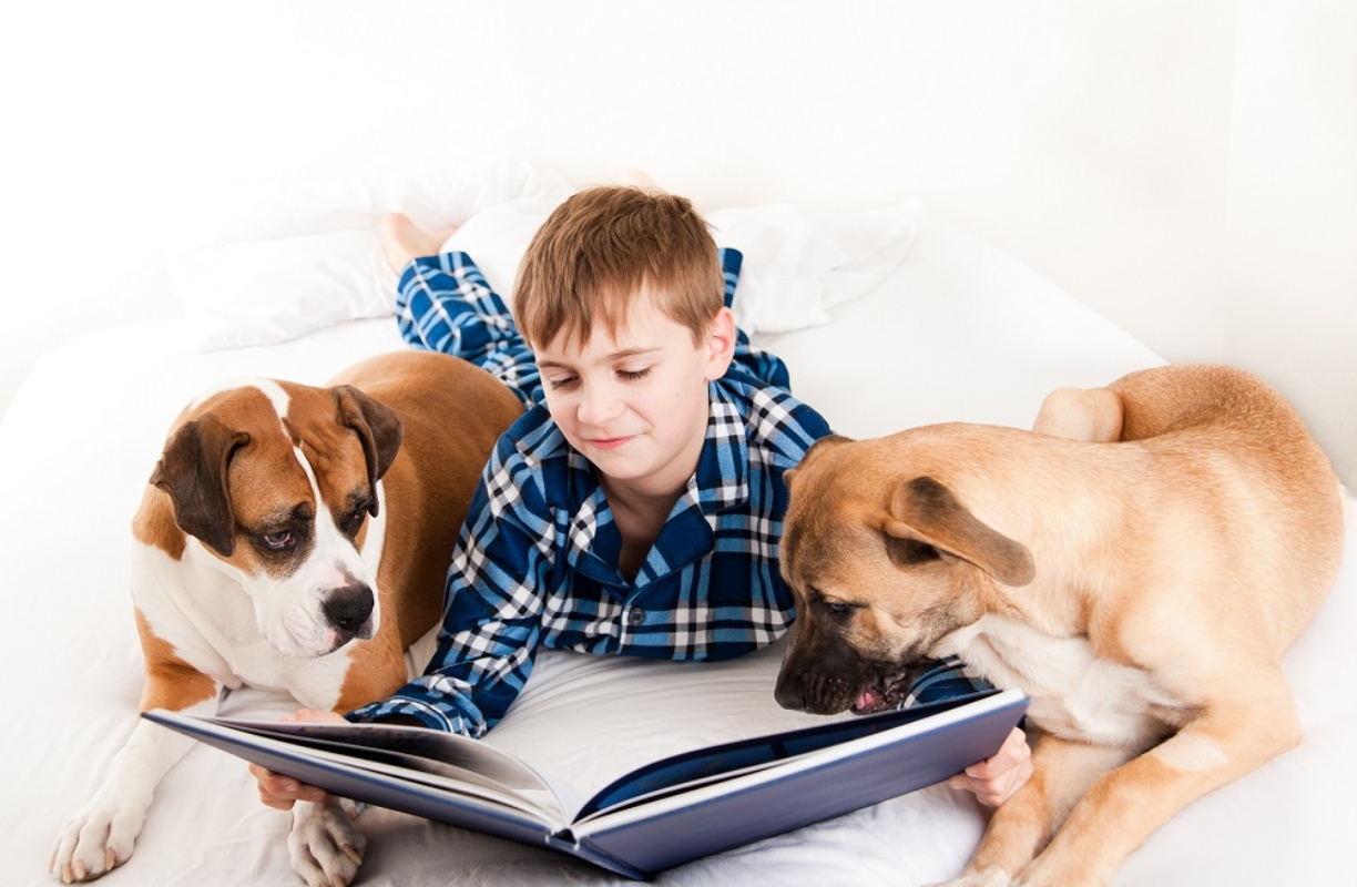 We Are All Ears: How Reading to Pets at Home Can Improve Youth Literacy