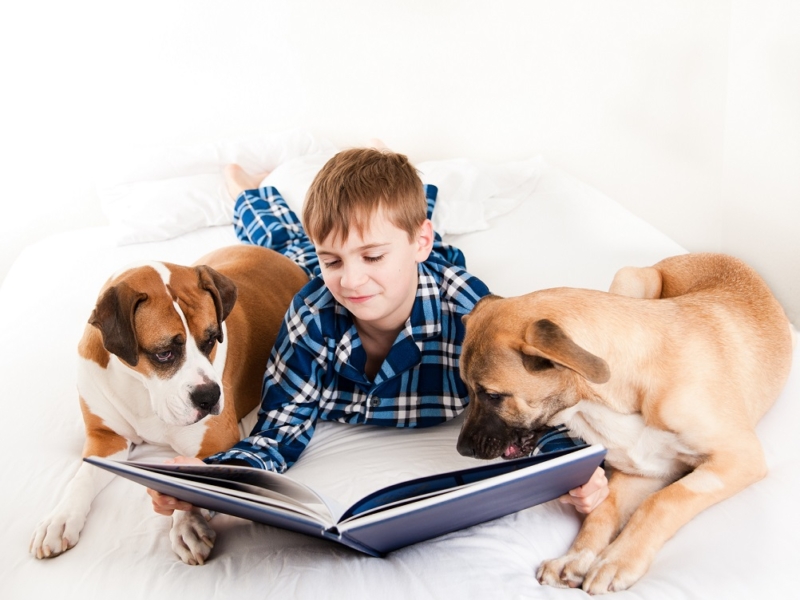 We Are All Ears: How Reading to Pets at Home Can Improve Youth Literacy