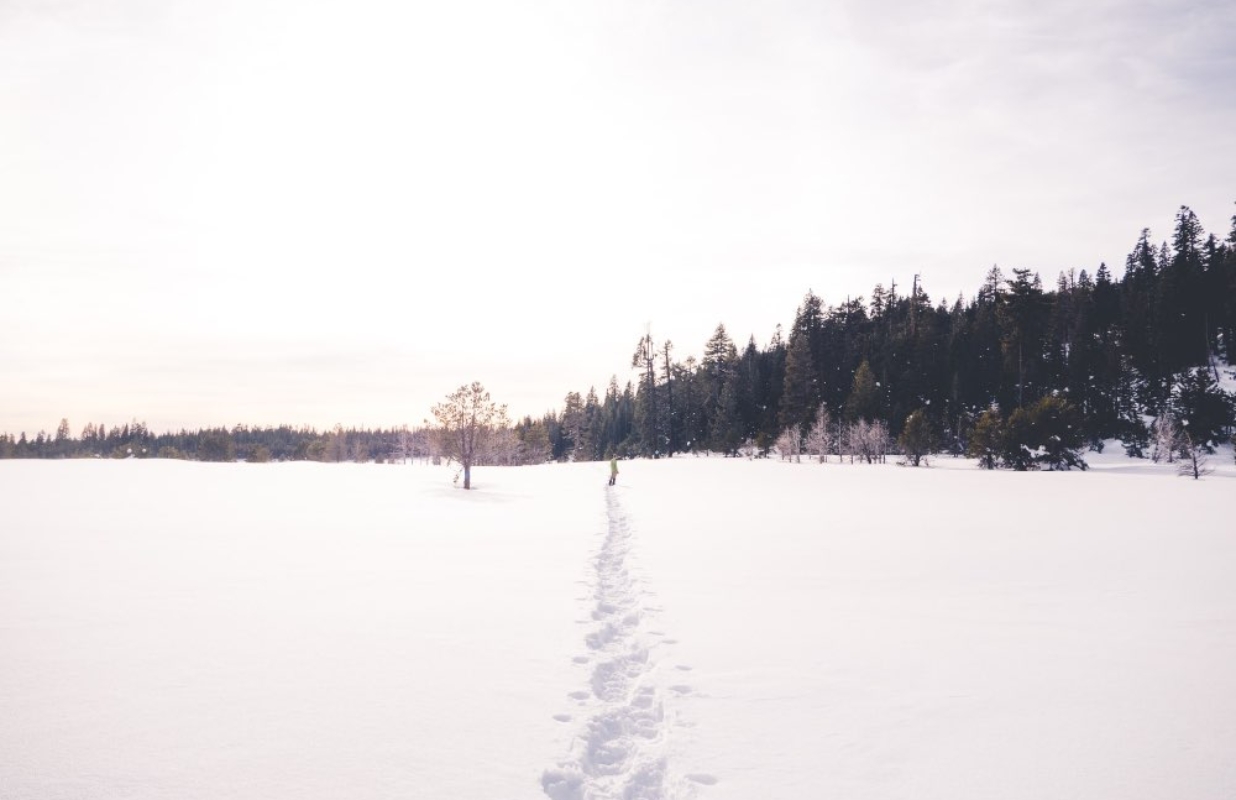 Top 5 Minnesota Waterfalls to Check Out This Winter