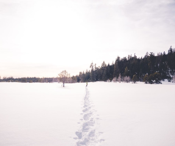 Top 5 Minnesota Waterfalls to Check Out This Winter