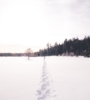 Top 5 Minnesota Waterfalls to Check Out This Winter