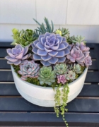 Why Korea’s Top Makeup Trends are Perfect for the Holidays