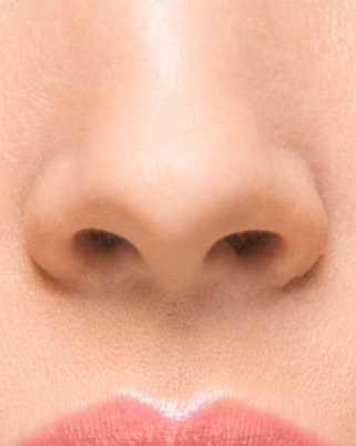 Self-Editing: Why Do We Value Plastic Surgery and Contouring?